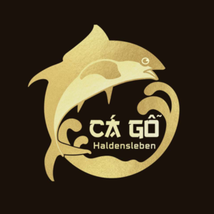 Cá Gỗ Haldensleben